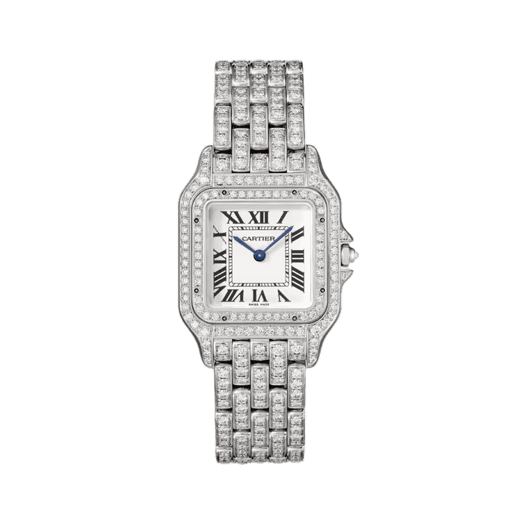 Panthère de Cartier-Cartier