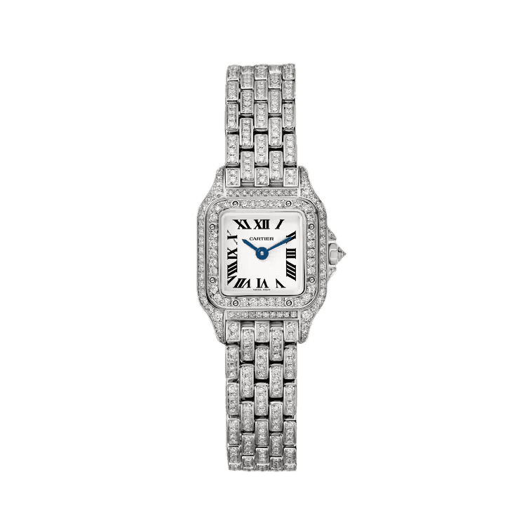 Panthère de Cartier-Cartier
