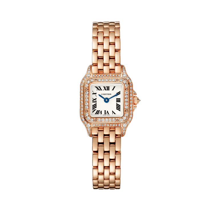 Panthère de Cartier-Cartier